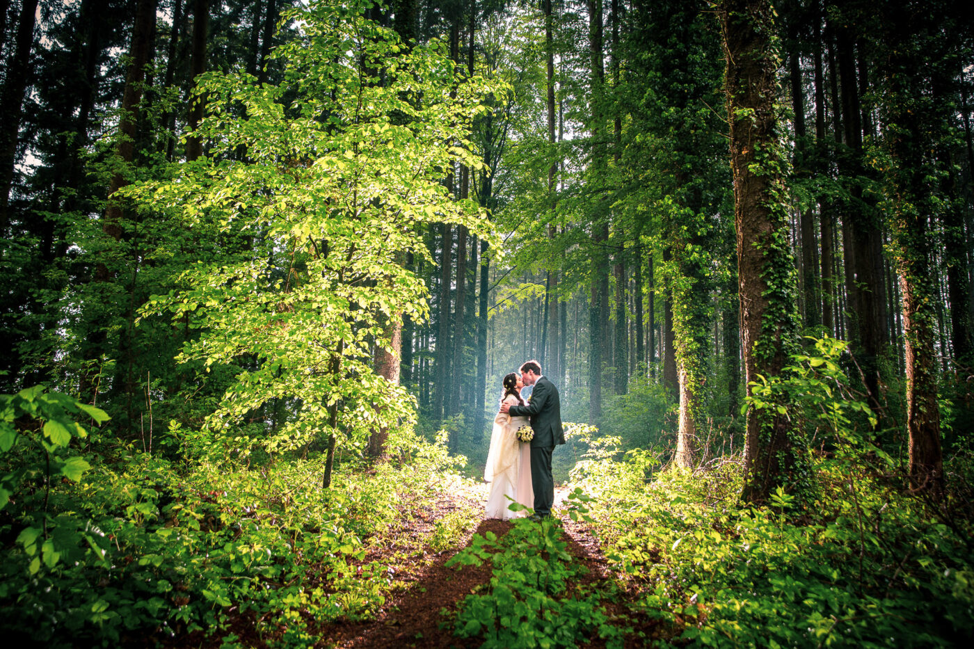 Hochzeitspaar in einem schönen Wald mit magischem Licht